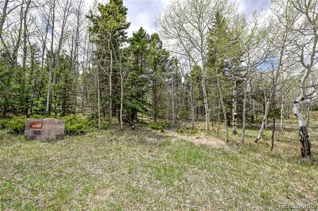 454 Eagle Rock Road Florissant, CO 80816