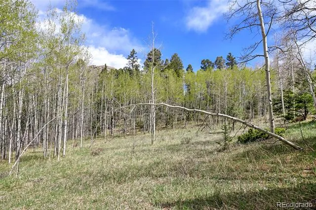 454 Eagle Rock Road Florissant, CO 80816