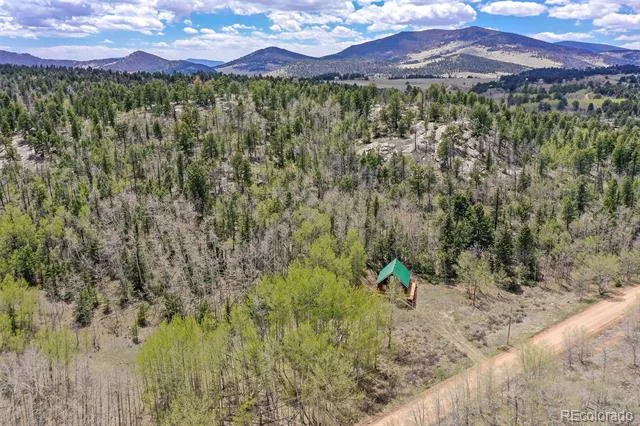 454 Eagle Rock Road Florissant, CO 80816