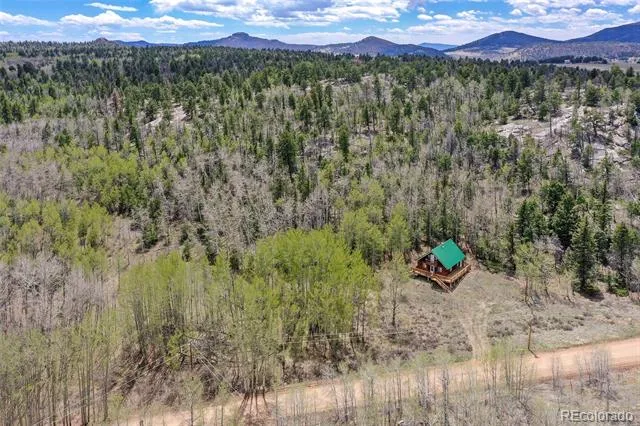 454 Eagle Rock Road Florissant, CO 80816