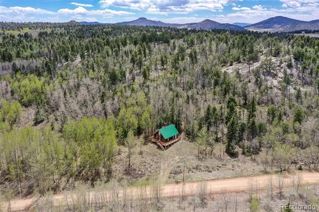 454 Eagle Rock Road Florissant, CO 80816