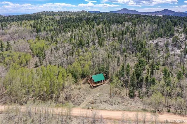 454 Eagle Rock Road Florissant, CO 80816