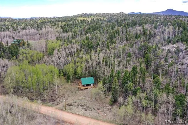 454 Eagle Rock Road Florissant, CO 80816