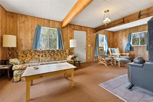 454 Eagle Rock Road Florissant, CO 80816