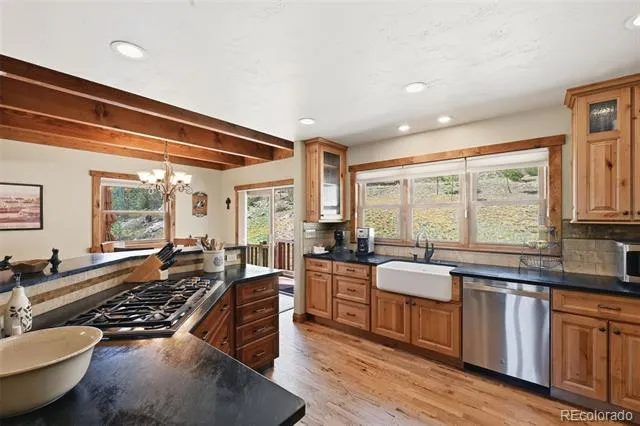 89 Ranch View Florissant, CO 80816