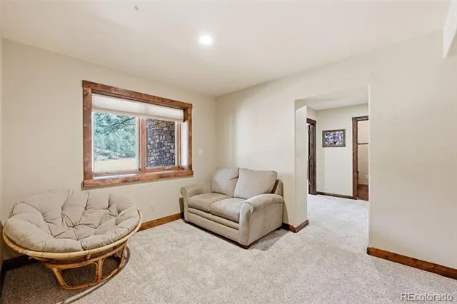 89 Ranch View Florissant, CO 80816