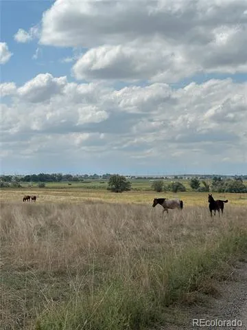 County Road 41 Hudson, CO 80642