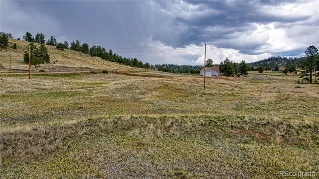 188 High Pasture Road Florissant, CO 80816