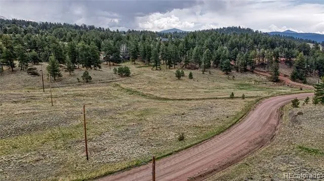 188 High Pasture Road Florissant, CO 80816