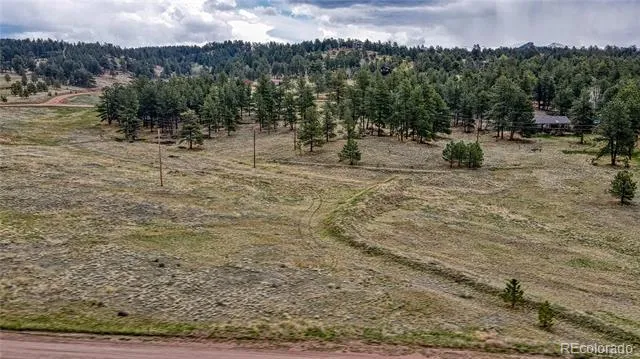 188 High Pasture Road Florissant, CO 80816