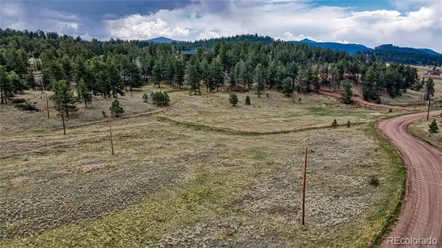 188 High Pasture Road Florissant, CO 80816