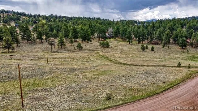 188 High Pasture Road Florissant, CO 80816
