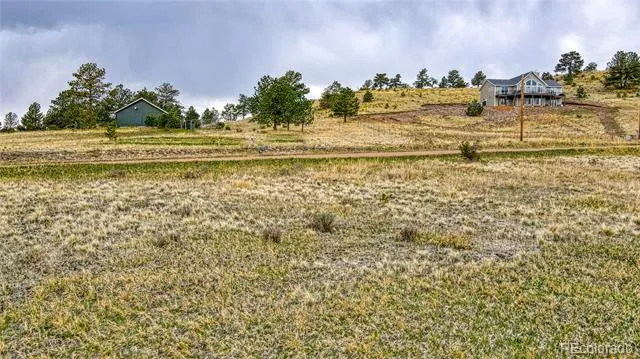 188 High Pasture Road Florissant, CO 80816