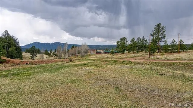 188 High Pasture Road Florissant, CO 80816