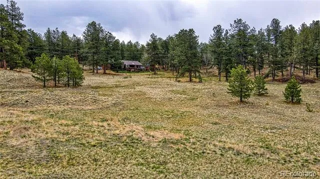 188 High Pasture Road Florissant, CO 80816