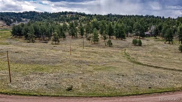 188 High Pasture Road Florissant, CO 80816