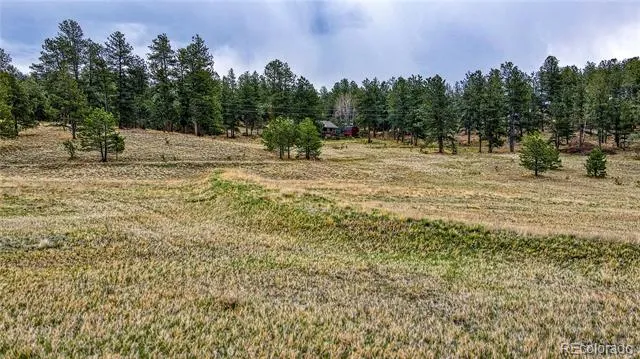 188 High Pasture Road Florissant, CO 80816