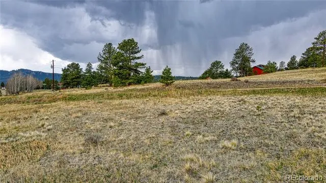 188 High Pasture Road Florissant, CO 80816