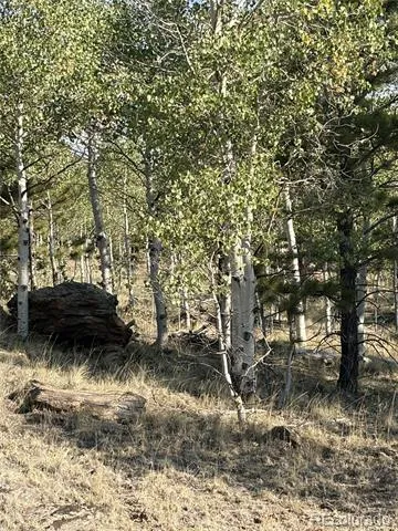 3031 Mcdowell Drive Como, CO 80432