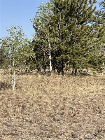 3031 Mcdowell Drive Como, CO 80432