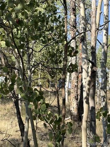 3031 Mcdowell Drive Como, CO 80432