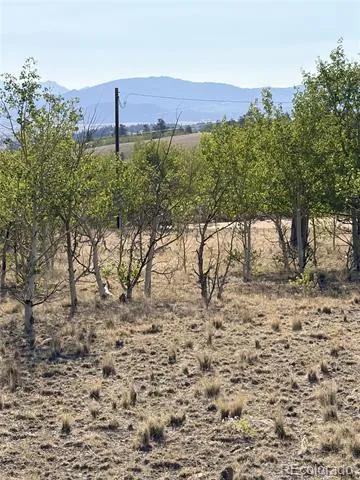 3031 Mcdowell Drive Como, CO 80432