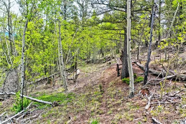 28 Old Squaw Road Jefferson, CO 80456