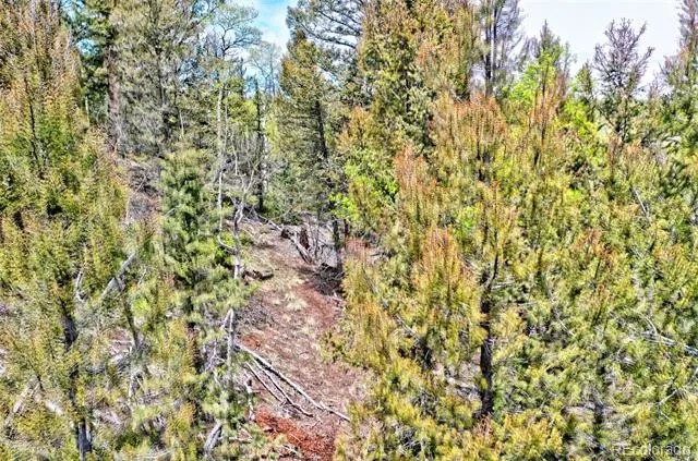 28 Old Squaw Road Jefferson, CO 80456