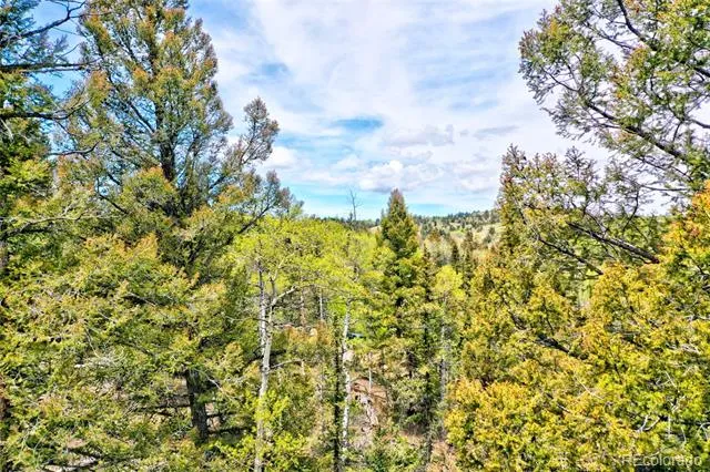 28 Old Squaw Road Jefferson, CO 80456