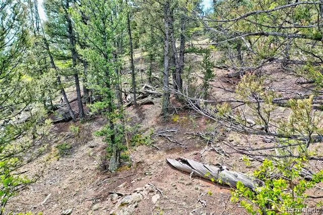 28 Old Squaw Road Jefferson, CO 80456