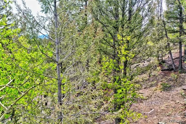 28 Old Squaw Road Jefferson, CO 80456