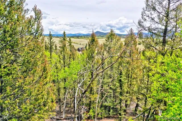 28 Old Squaw Road Jefferson, CO 80456