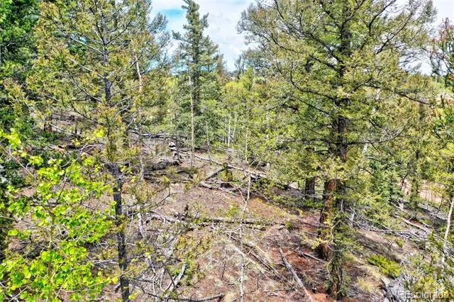 28 Old Squaw Road Jefferson, CO 80456