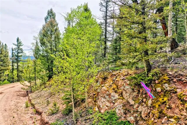 28 Old Squaw Road Jefferson, CO 80456