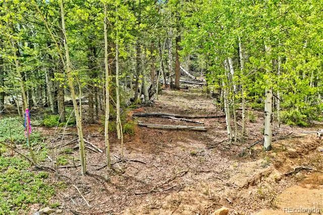 28 Old Squaw Road Jefferson, CO 80456