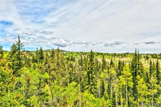 28 Old Squaw Road Jefferson, CO 80456