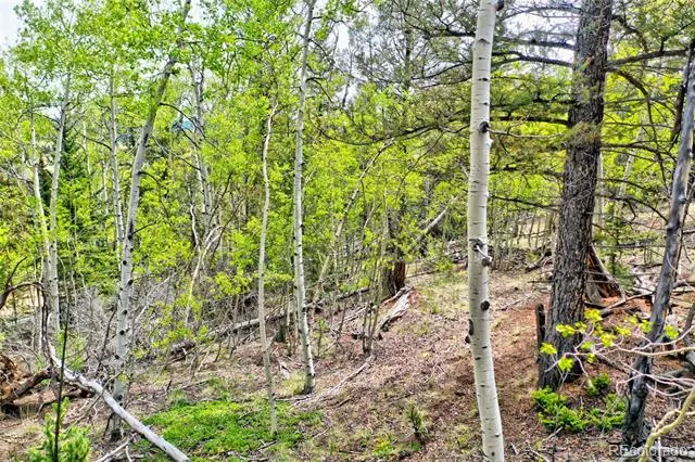 28 Old Squaw Road Jefferson, CO 80456