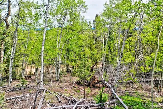 28 Old Squaw Road Jefferson, CO 80456
