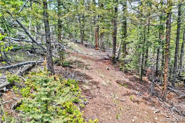 28 Old Squaw Road Jefferson, CO 80456