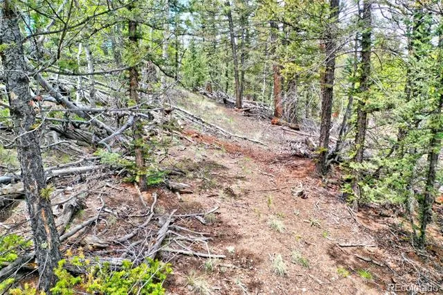 28 Old Squaw Road Jefferson, CO 80456