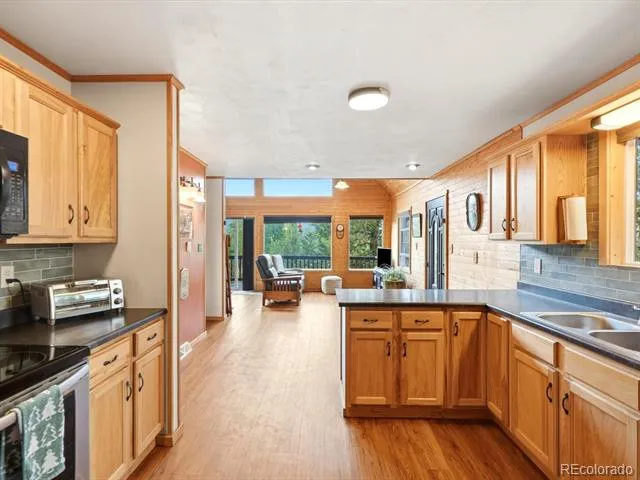 10 Juniper Way Bailey, CO 80421