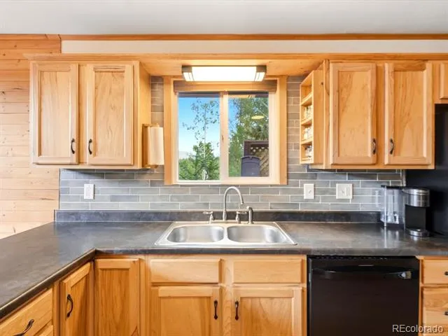 10 Juniper Way Bailey, CO 80421