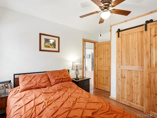10 Juniper Way Bailey, CO 80421