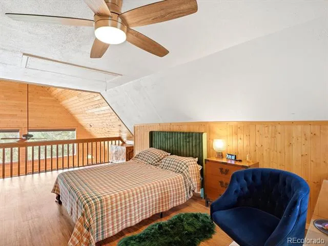 10 Juniper Way Bailey, CO 80421