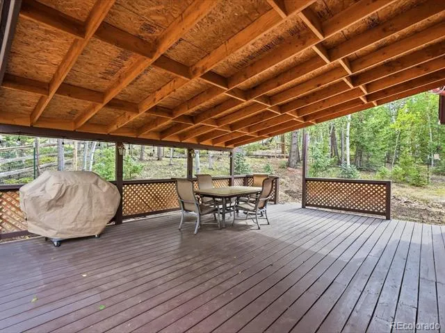 10 Juniper Way Bailey, CO 80421