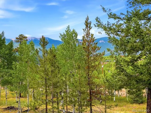 10 Juniper Way Bailey, CO 80421