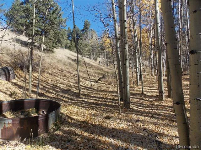 1944 May Queen Drive Cripple Creek, CO 80813