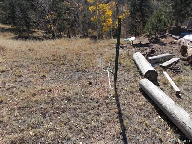1944 May Queen Drive Cripple Creek, CO 80813