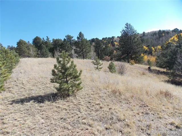 1944 May Queen Drive Cripple Creek, CO 80813