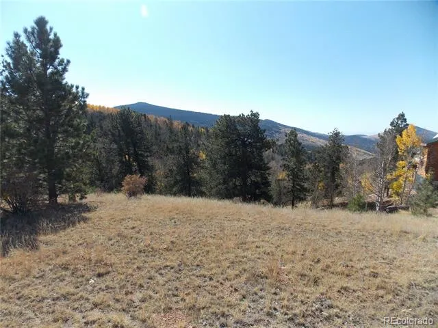 1944 May Queen Drive Cripple Creek, CO 80813